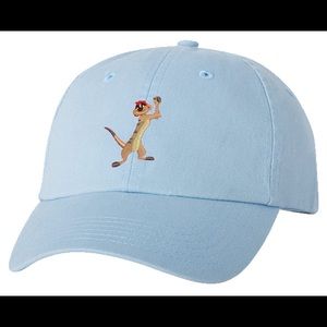 Disney Hats